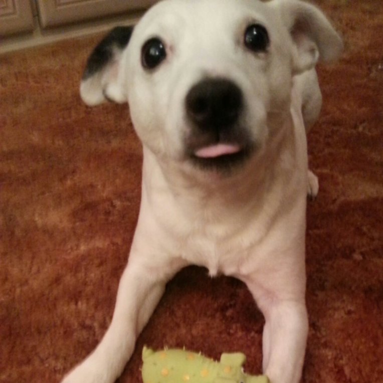MAX(OTRB💗) tweet media