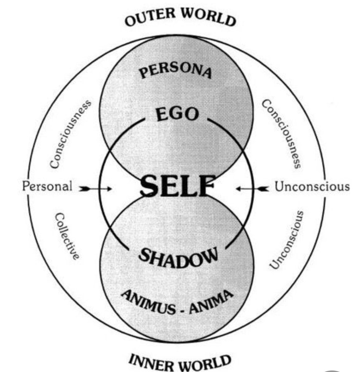 1. What is the process of individuation?!It's a psychological development that allows us to attain a wholeness and singular personality (SELF) but integrating all the personalities.This means, the development of the EGO and the PERSONA towards the SELF.