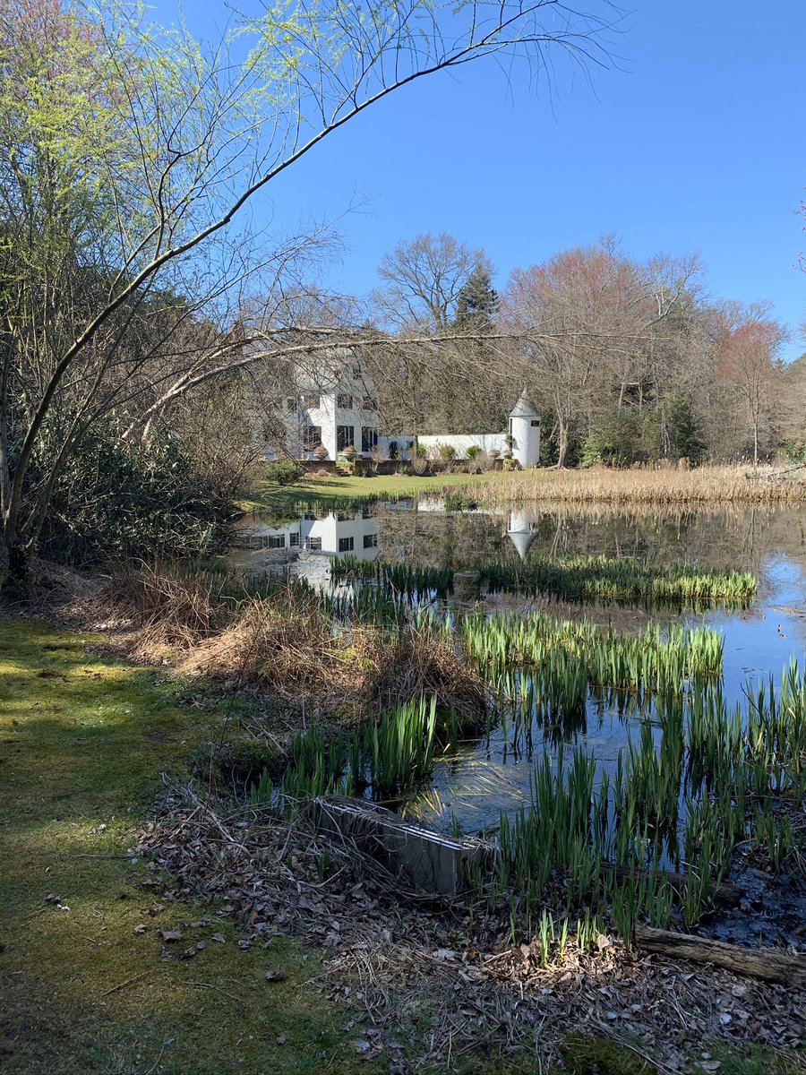 emilywestsays's tweet image. Taking in this #EarthDay50 @chelseamansion Love watching the turtles catching some sun! #TurtlePond #EarthDay #EarthDay2020 #1Day1Thing #EntercomNewYork