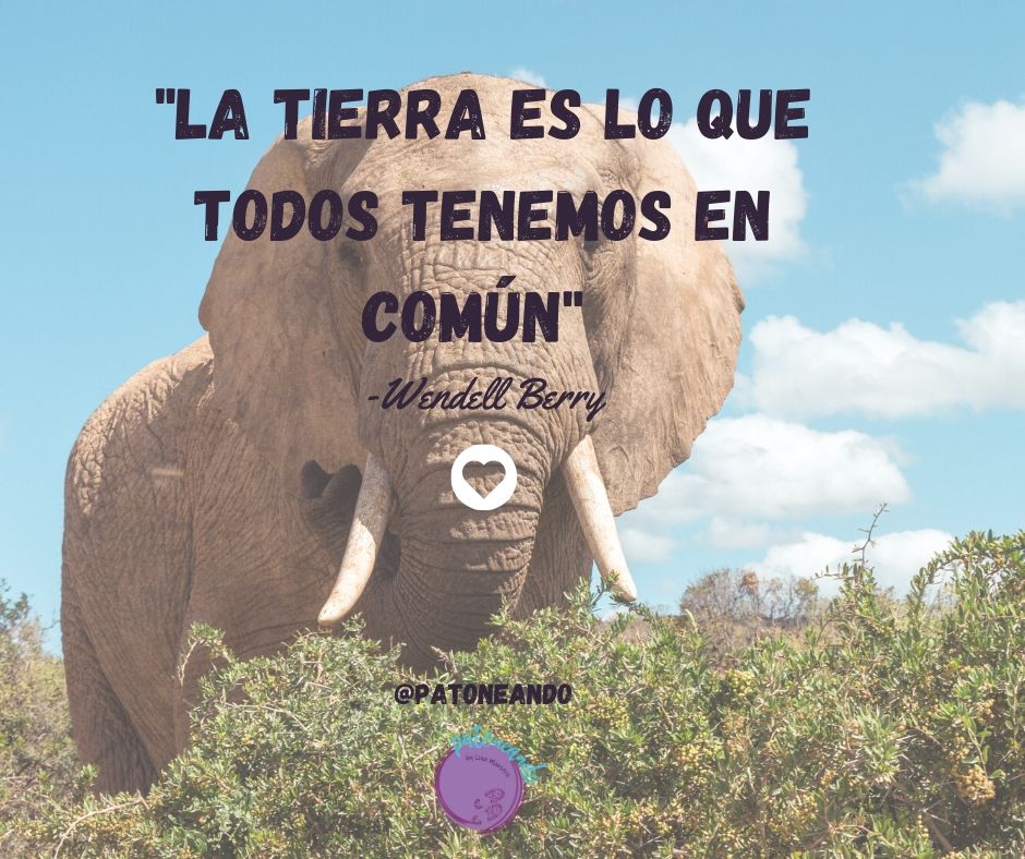 Patoneando's tweet image. Cuidémosla 🌍🌎

#DiaDeLaTierra #EarthDay #DiaMundialDeLaTierra