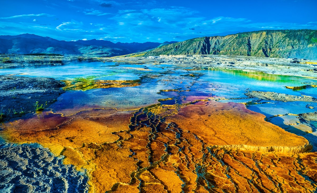 publicitymag's tweet photo. Happy Earth Day! Celebrating 50 YEARS. Hoping for hundreds more. Nature is Rebuilding flourishing, cleaner air, #animals thriving ppl living Thanks #yellowstone #yosemite #nationalparks #earthday #cleanair #publicitymag #followme @tcapr @USGS @smithsonian @NatGeo @NWF https://t.co/DUOOo8rLc9