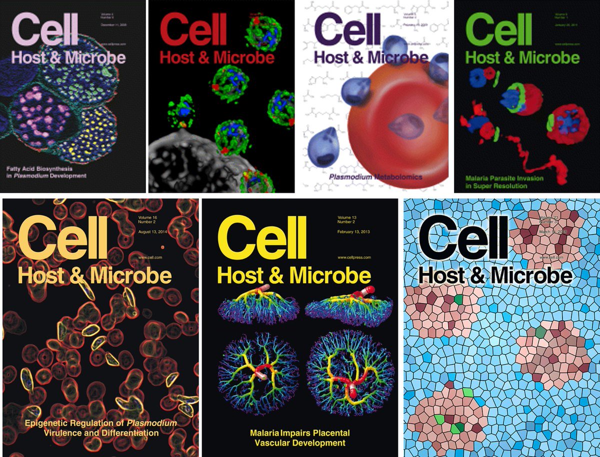 In honor of  #WorldMalariaDay, I am revisiting some of the seminal works of our scientists that were featured on  @cellhostmicrobe covers