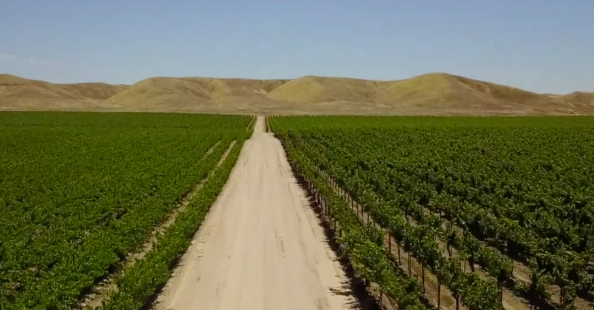 AgIS Capital tweet media