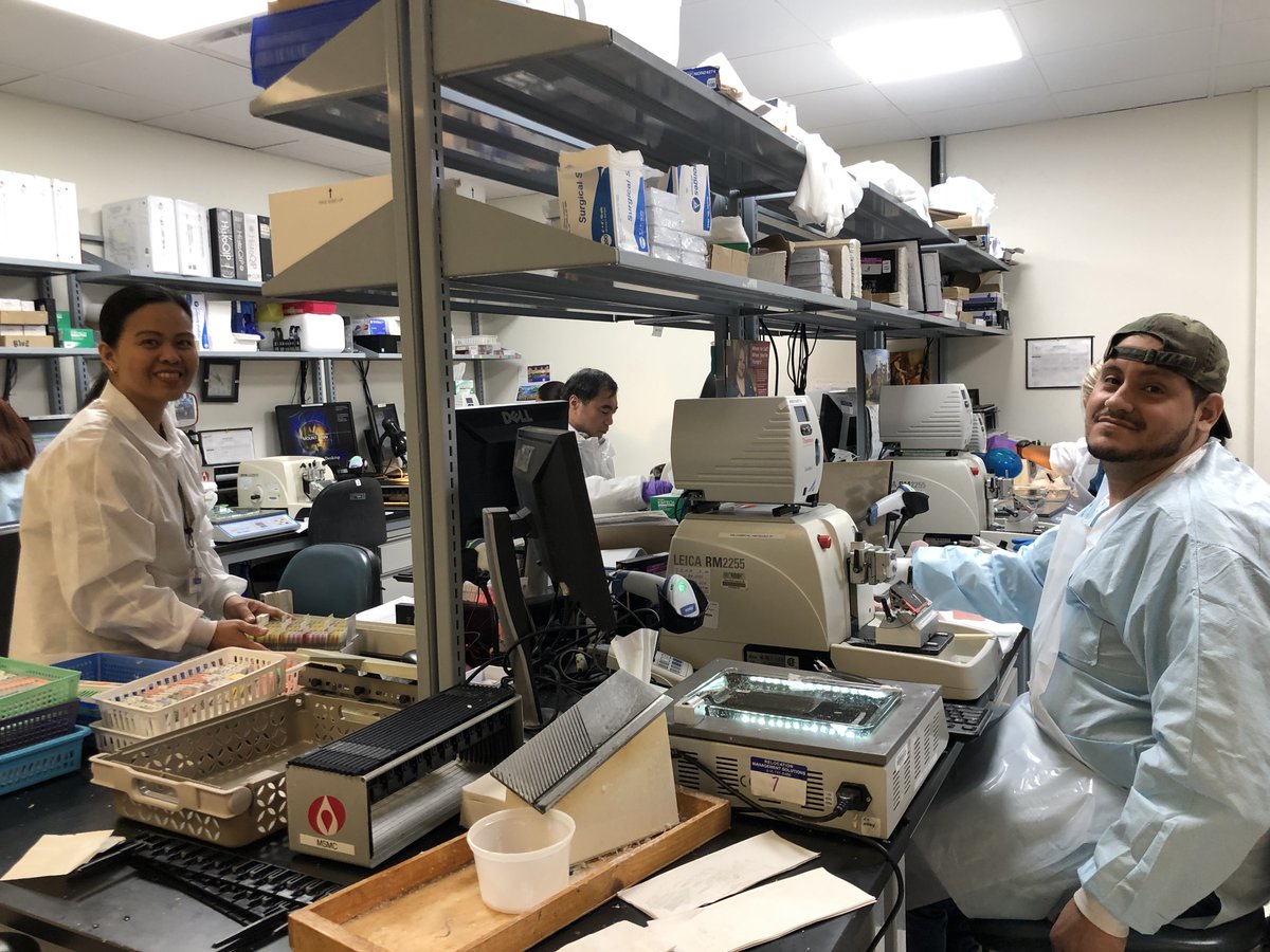 feldstej's tweet photo. #labweekTB #precovid #labweek2020 #labprofessionals #lab4life #unsungheroes #medlab #wearelab #wednesdaythought #wednesdayview #wednesdayvibe #wednesdaywellness #VirtualLabWeek #bonemarrow #histologylab #thankyoucolleagues #thankyouforinspiring https://t.co/iYP5ciB2cW
