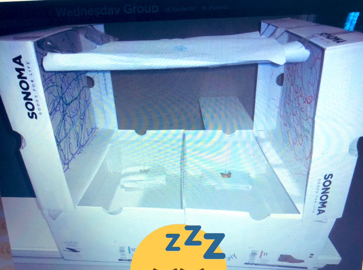 ECE_STEPS's tweet image. Choosing your own activity can be so fun! #STEAM #ecepantherpride