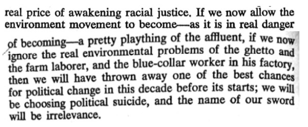 Walinsky feared that if the environmental movement did not put such concerns at the forefront, it would become the "plaything of the affluent."