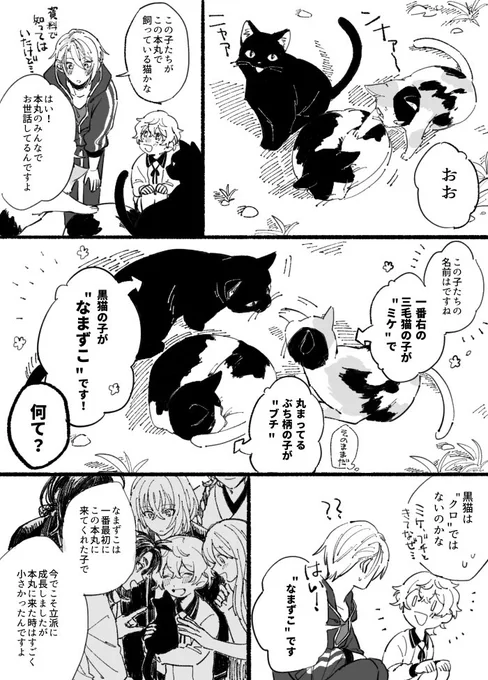 猫がいる本丸 