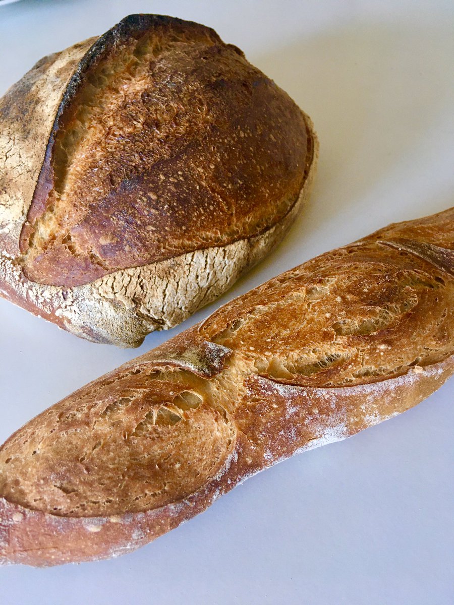 Bite Your Brum (she/her) tweet media