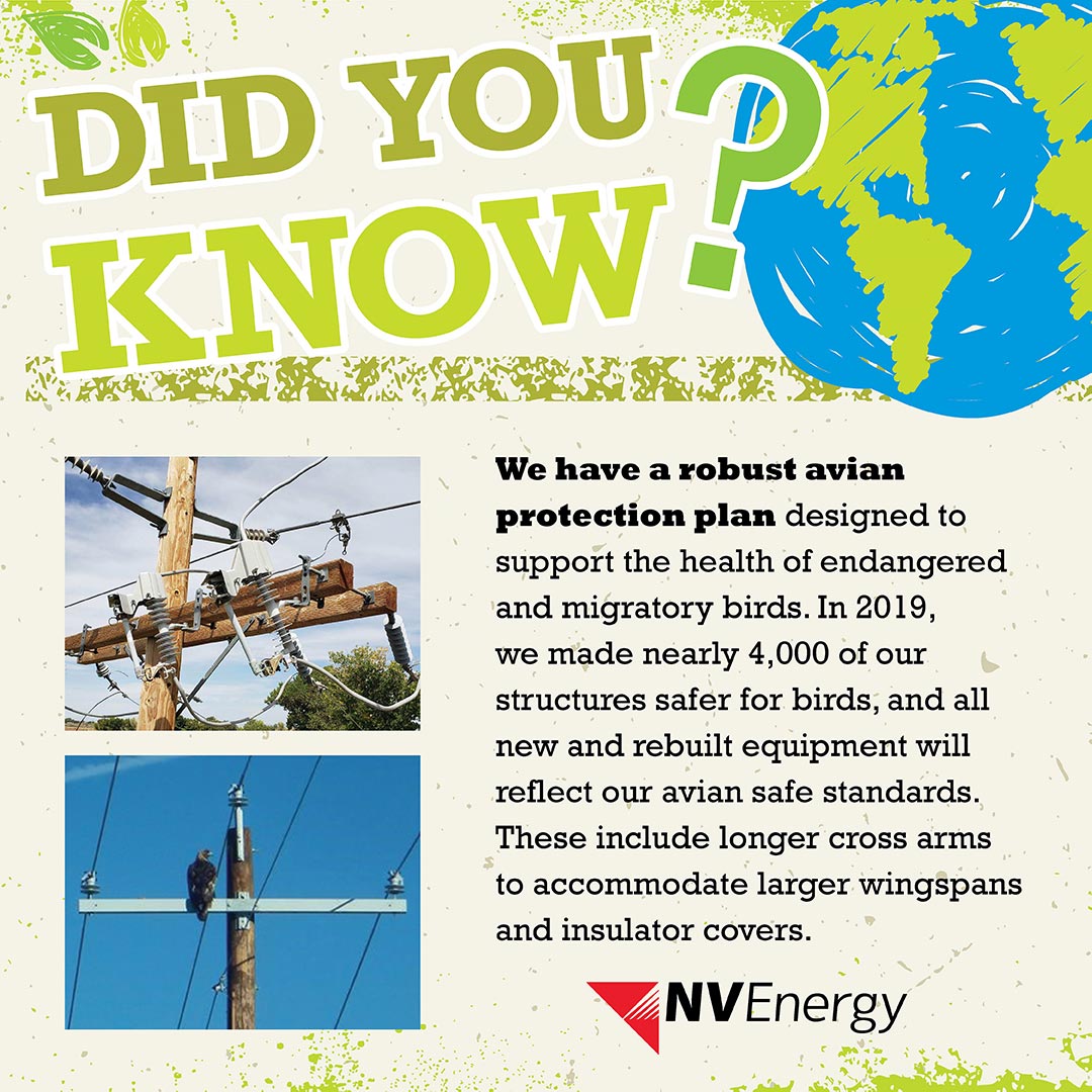 NVEnergy's tweet image. Happy #EarthDay!