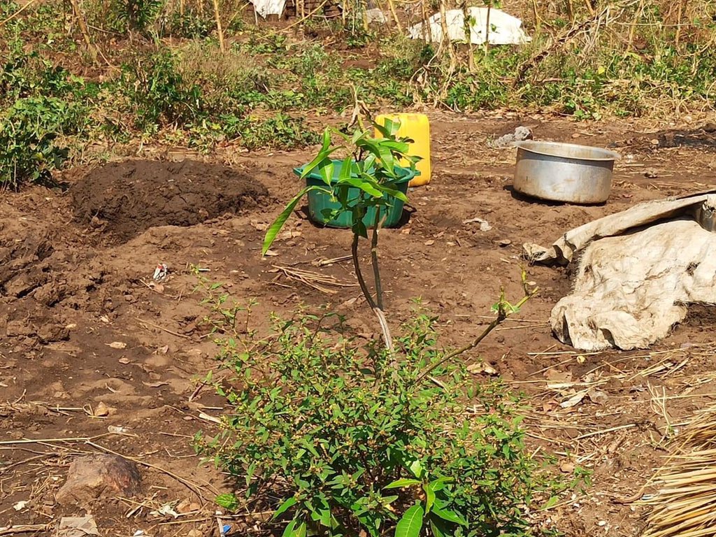 NzuriDaima's tweet photo. Hoy es el #DíaMundialdelaTierra, durante estos días, ya nos habréis oído en #RadioHope contar el bonito proyecto del #BosquedelosAbrazos, donde los árboles que nos dan oxígeno, frutos y amor,serán también los que  den la paz a las personas que se han ido sin poder despedirse. https://t.co/Cp4HE7kV4Q