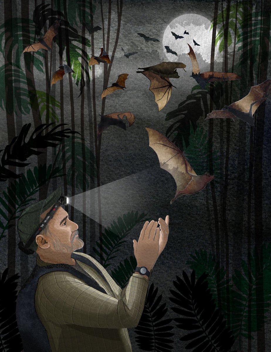 Rodrigo Medellin, Mexican Ecologist and Bat conservationists🦇 
from #ClimateRebels by @benlerwill #earthday #earthday2020 #ecologist #enviromentalist #batconservation #bats #kidlitart #kidlit #illustration #newwork @rodrigomedellin @advocateart01 @collaborateagency @PuffinBooks