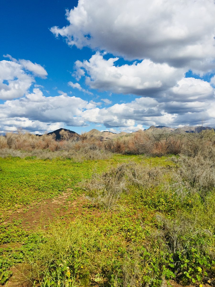 Water: Rio Verde, Water Wheel, & Fossil Springs. All in AZ 