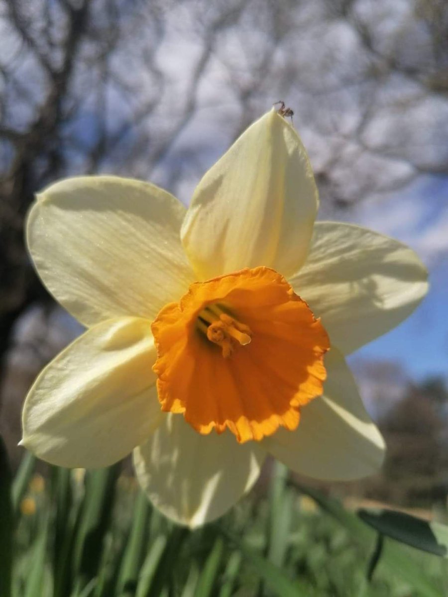 J_Bella_S's tweet photo. And when you return remember you are my guests not my masters. 
#EarthDay #EarthDay2020
#LoveLondon 
#MyPhoto #myjoy #ToShareWithYouAll #wellbeingwednesday https://t.co/j2aofAot72