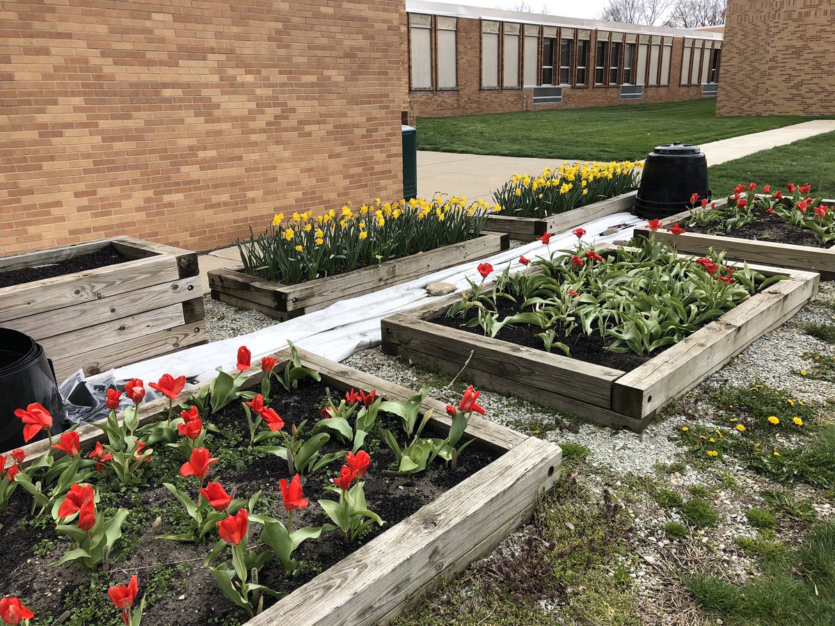dahoffert's tweet photo. Happy Earth Day! Love the sight looking out my office window of the @Washington_STEM flowers blooming. #wcsmission https://t.co/b2zozEwxfY
