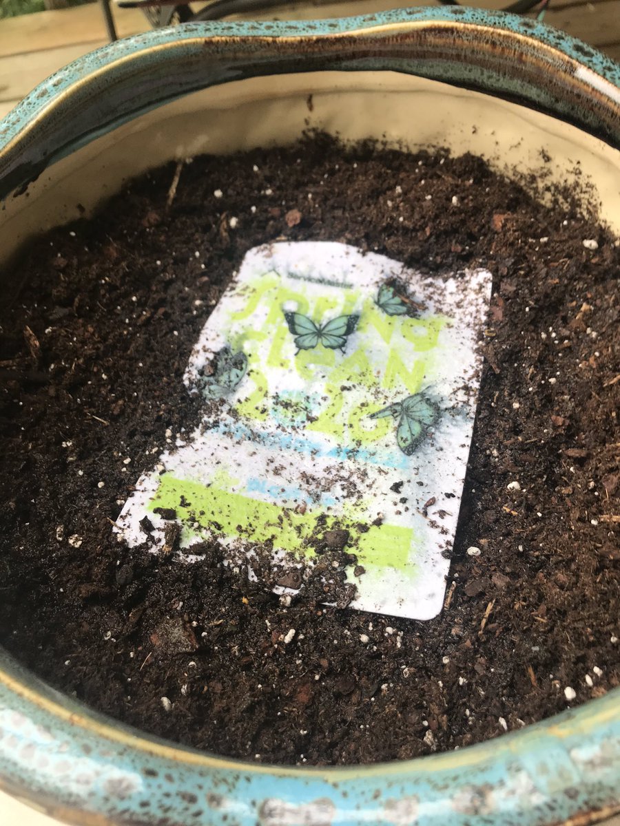 LindaMBaxter's tweet photo. Today is #EarthDay and though we’re unable to go out into the community with @ServiceMaster, they made sure the employees could still bring beauty and positivity to where we live and work. #SpringClean2020 #SocialDOstancing #NowWeWait #SeedCardsFTW https://t.co/KzaiEANUZI