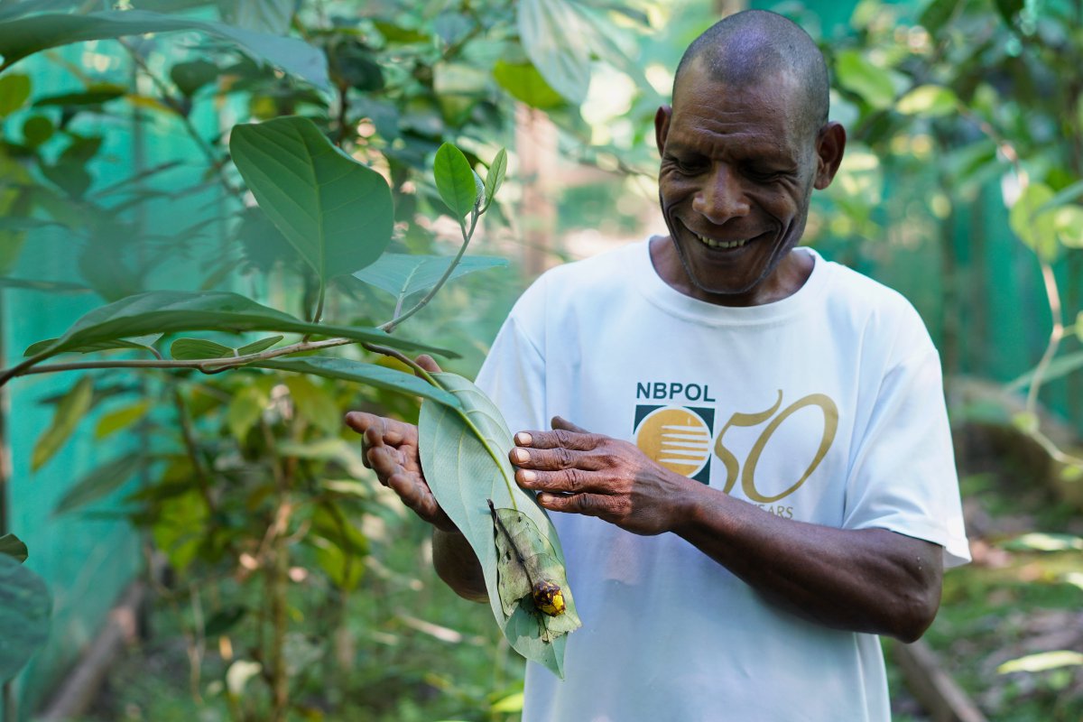 A rare success: Community-led conservation efforts against mining and development in a remote corner of Papua New Guinea are paying off, but long-term success depends on locals having access to the country's economy.  http://bit.ly/3eBtZtv  /   @ethanblinck (3/6)