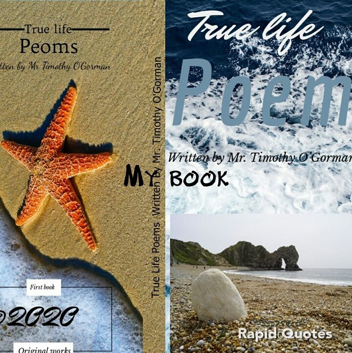 Timothy OGorman tweet media