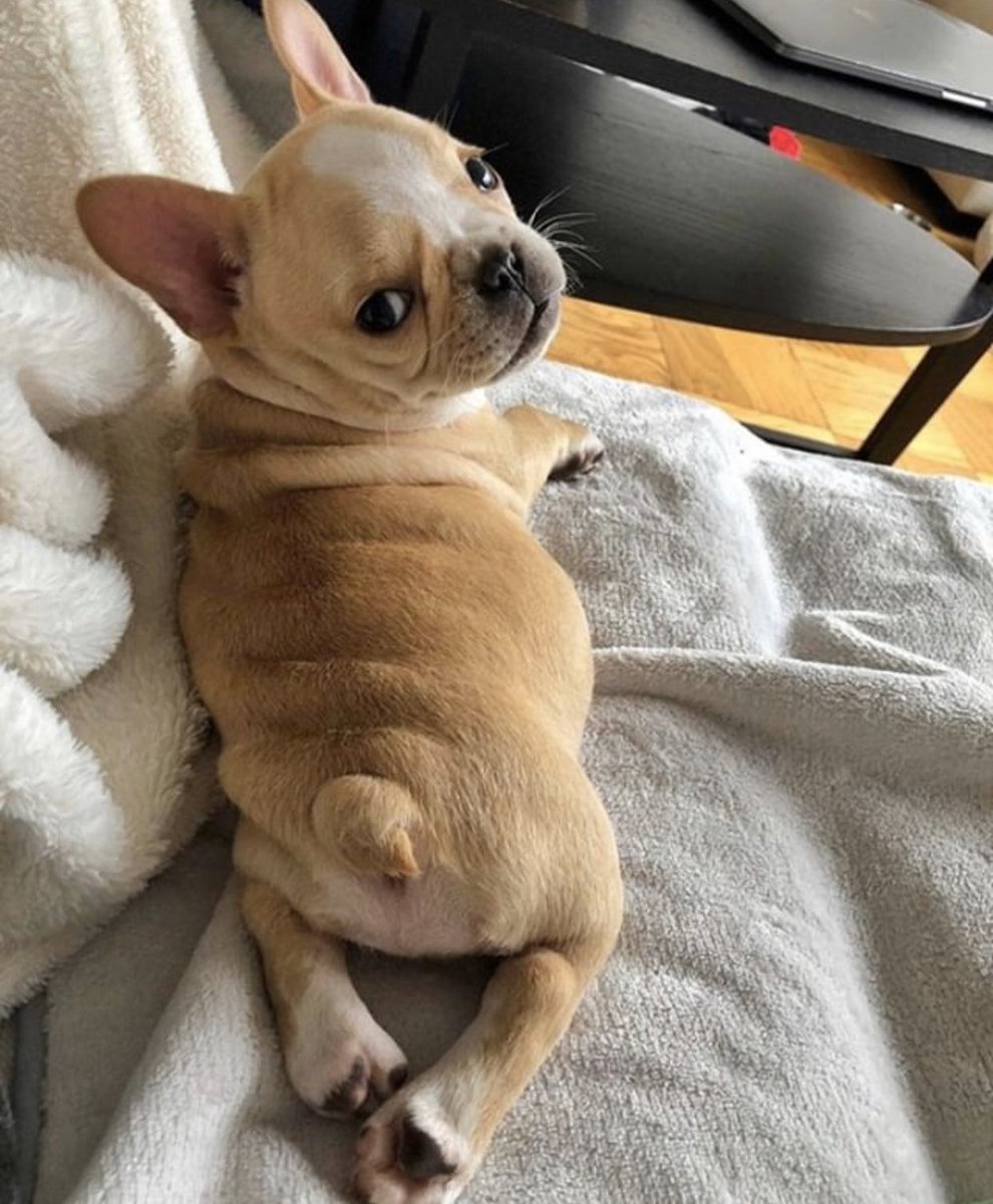 Klassy Network tweet media