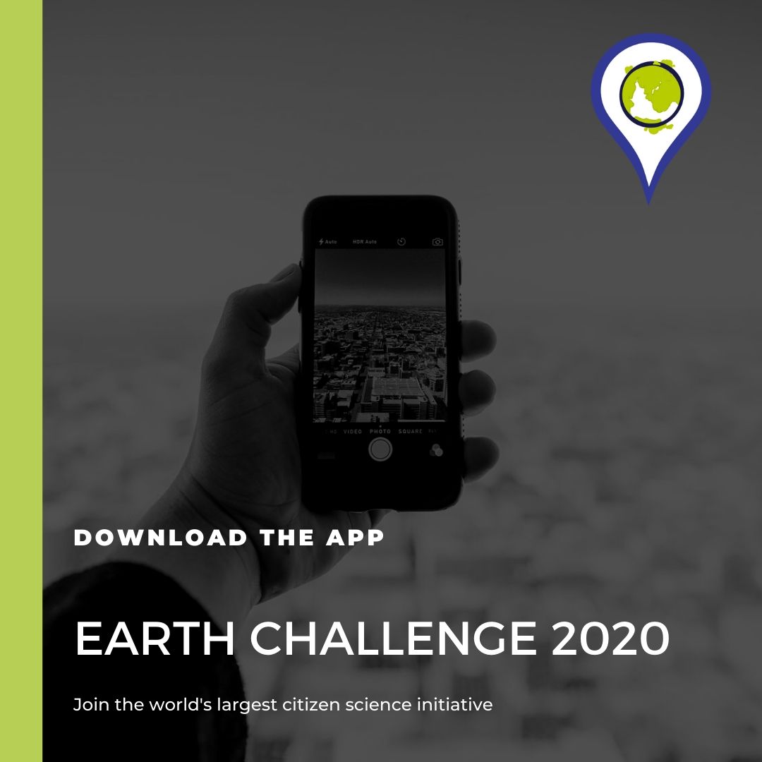 LandSense (@landsense) on Twitter photo We can all be citizen scientists 📲 Download the new <a href="/Earth_Challenge/">Earth Challenge 2020</a> 2020 app and be a part of our #citisci efforts to measure and act upon the world’s greatest challenges, from @EarthDayNetwork <a href="/WilsonSTIP/">Science and Technology Innovation Program</a> + <a href="/StateGDI/">StateDptEcoDiplomacy</a>. earthchallenge2020.earthday.org We can all be citizen scientists 📲 Download the new <a href="/Earth_Challenge/">Earth Challenge 2020</a> 2020 app and be a part of our #citisci efforts to measure and act upon the world’s greatest challenges, from @EarthDayNetwork <a href="/WilsonSTIP/">Science and Technology Innovation Program</a> + <a href="/StateGDI/">StateDptEcoDiplomacy</a>. earthchallenge2020.earthday.org