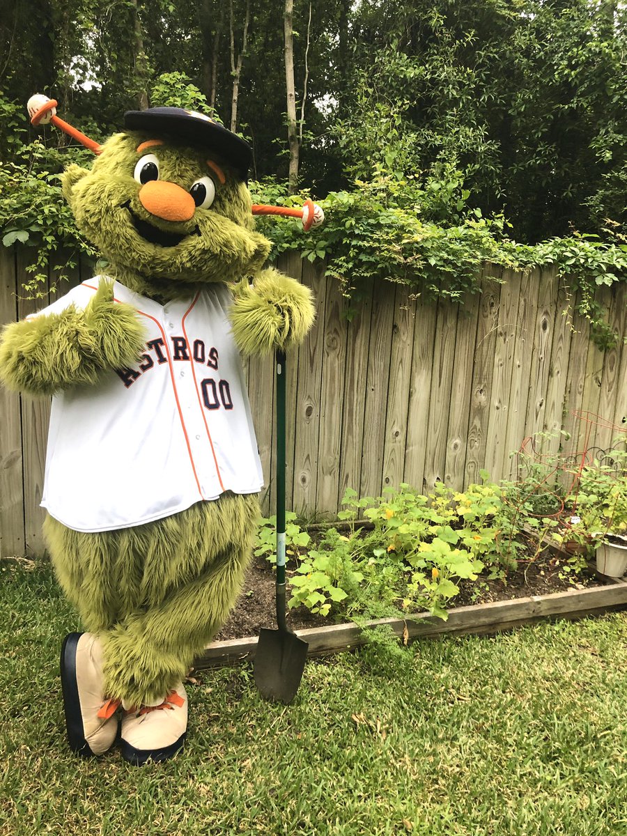 OrbitAstros's tweet photo. Happy #EarthDay 🌎 from someone with not one, but TWO green thumbs! 🌳🌱🌿🌺🌻🥬🥕☀️#FortheH https://t.co/jtSS2Y6ZNL