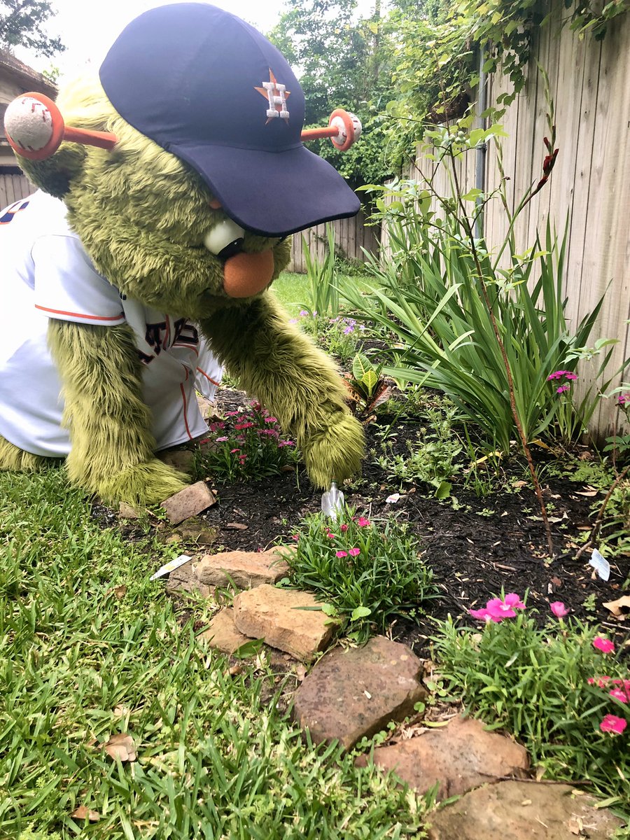 OrbitAstros's tweet photo. Happy #EarthDay 🌎 from someone with not one, but TWO green thumbs! 🌳🌱🌿🌺🌻🥬🥕☀️#FortheH https://t.co/jtSS2Y6ZNL