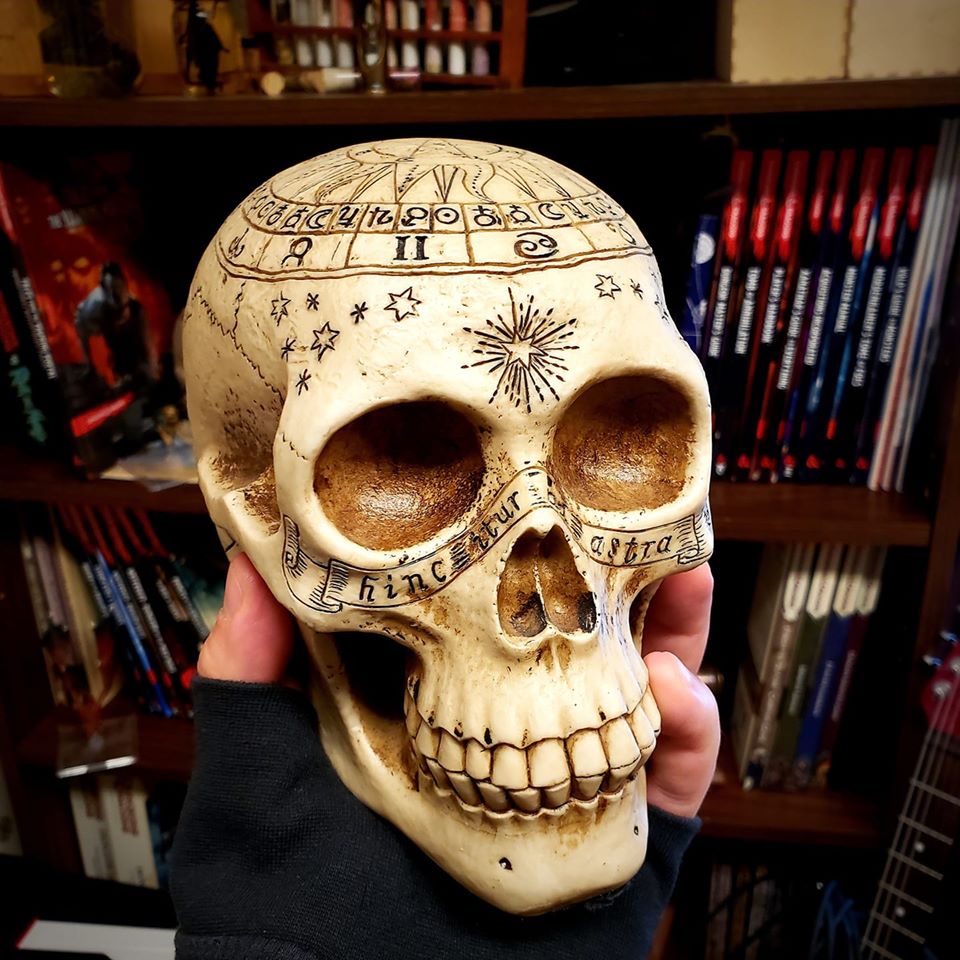 TheEvolutionNYC's tweet photo. This zany Astrological ๐โญ Resin Skull is going to a skull ๐ lover in Gainesville, Georgia! Thank you Georgia, we ๐ค you!
#I๐คEvolution #TheEvolutionStore https://t.co/e3EldKPIoP