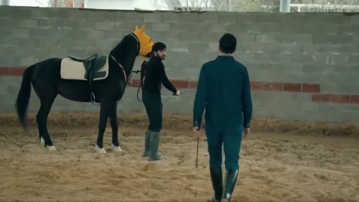 Cagatay went To jail,he decieved his father,arik appeared as another obstacle for efyam love,arik loves horses,his scene was put after y and E scene,To show that there Will be a love triangle between,E Y and Arik,Arik love for horses is like his love for efsun  #cukur  #EfYam ++++