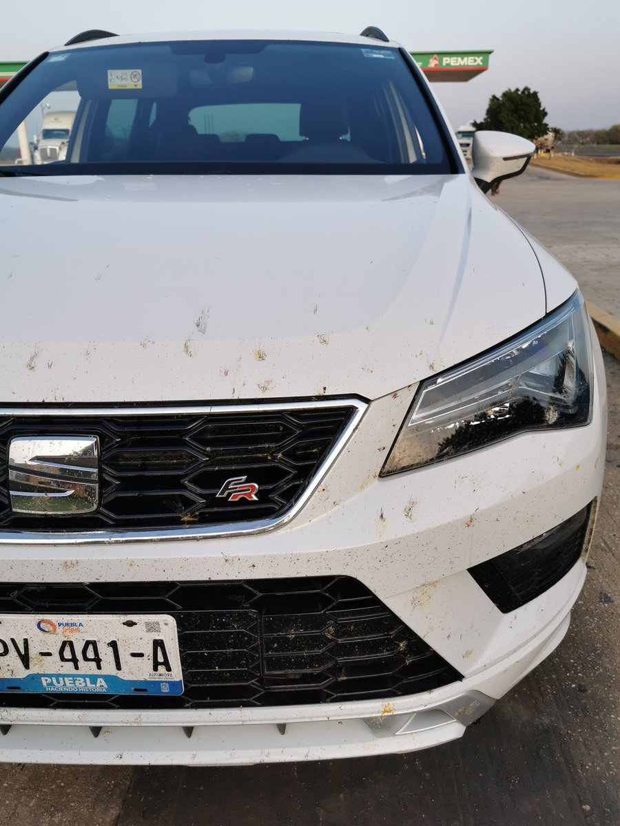 AutosDesign's tweet photo. 2.600 km con el Ateca FR (4Drive), sorprende por el confort, potencia y buen manejo...
#seat #adtest #car https://t.co/SY6c4uiiwI