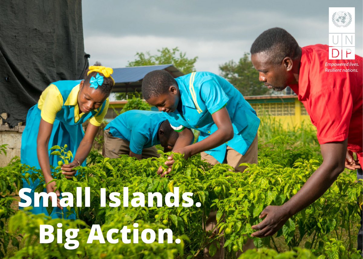 The world's 58 #SIDS are leaders in #ClimateAction, knowing that a world safe for SIDS is a safer world for all. On this #EarthDay2020, we celebrate the leadership of SIDS which take #bold and #innovative action for a healthier world. #SDG13 #UNDP4SIDS  #SIDSLead