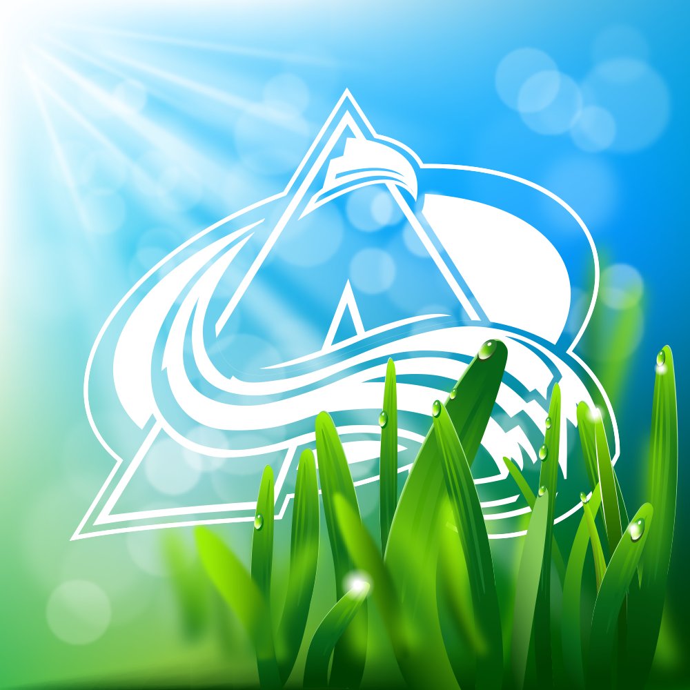 Colorado Avalanche tweet media