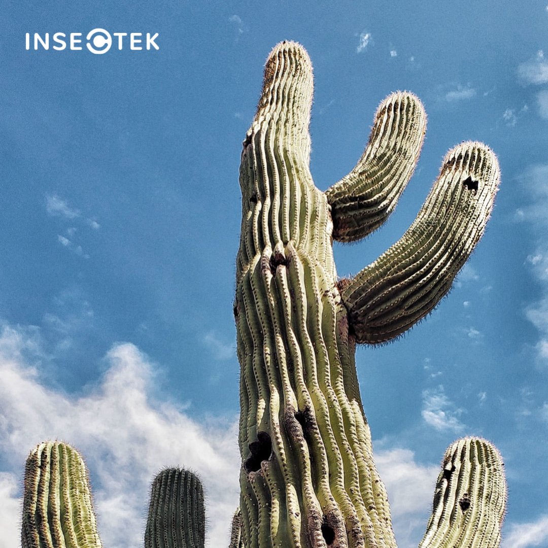 INSECTEKPEST's tweet photo. Earth Day reminds us how important it is to protect the planet. We use environmentally friendly products that are tough on pests but not harmful to the environment.
.
.
.
#Insectek #EarthDay https://t.co/fCbvDqm4oe