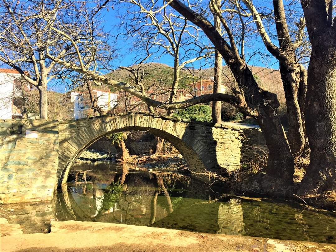 mountathosarea tweet media