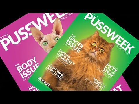 ChronicleBooks's tweet photo. The rumors are true. #Pussweek — the only publication by cats, for cats — is now a book! Available wherever books are sold by humans on May 5, 2020. Watch meow https://t.co/Nq6YiiQEFG via @YouTube https://t.co/CZQrdhMtjA