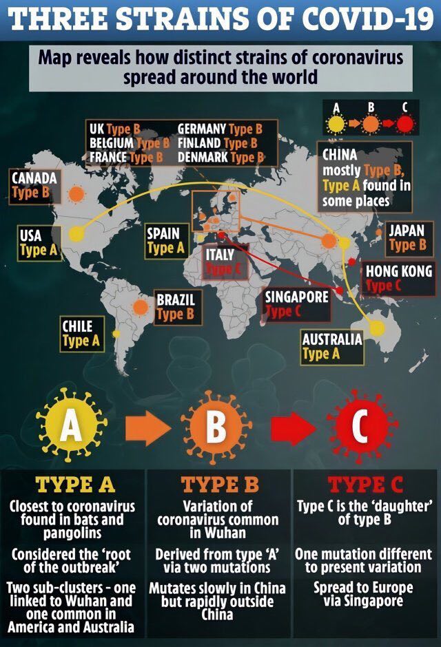 Different reports of different strains circulating. Rapid mutation.Asian media:  https://www.scmp.com/news/china/science/article/3079491/deadly-coronavirus-comes-three-variants-researchers-find?fbclid=IwAR2-7UdJMT9T-IUeT9FLLkHJSChm2iZkTUxyCNmunRBTGKxn0btmKCdir1c16/