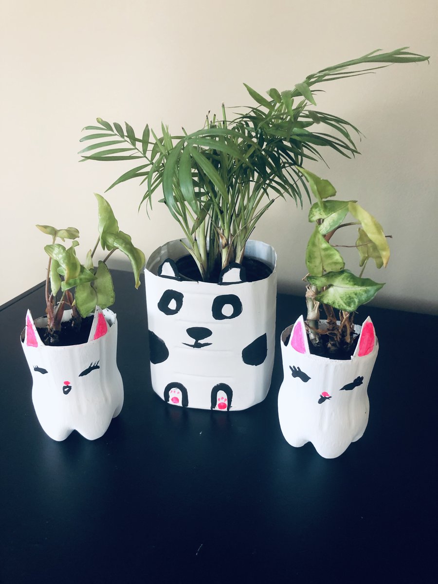 kindiekim's tweet photo. My daughter Violet made these fun planters from recycled plastic bottles!  Happy Earth Day! https://t.co/bCrfhYymKX