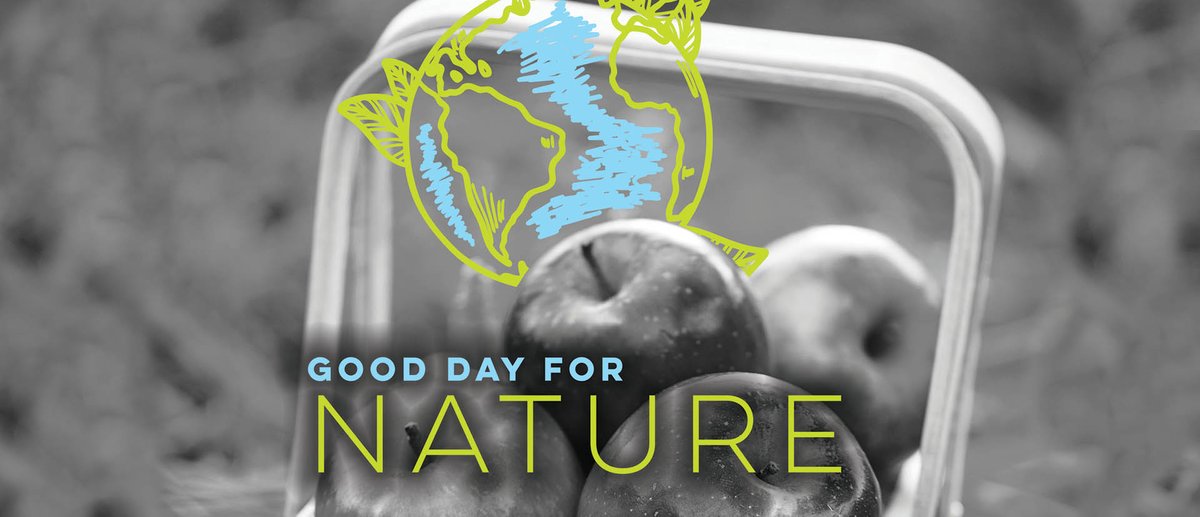 Happy #EarthDay! Be extra kind to our planet today and enjoy these climate friendly recipes: 
nytimes.com/2019/04/30/din…