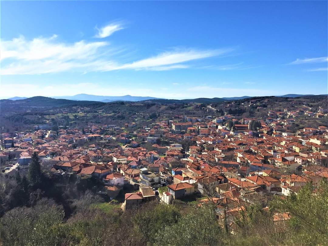 mountathosarea tweet media