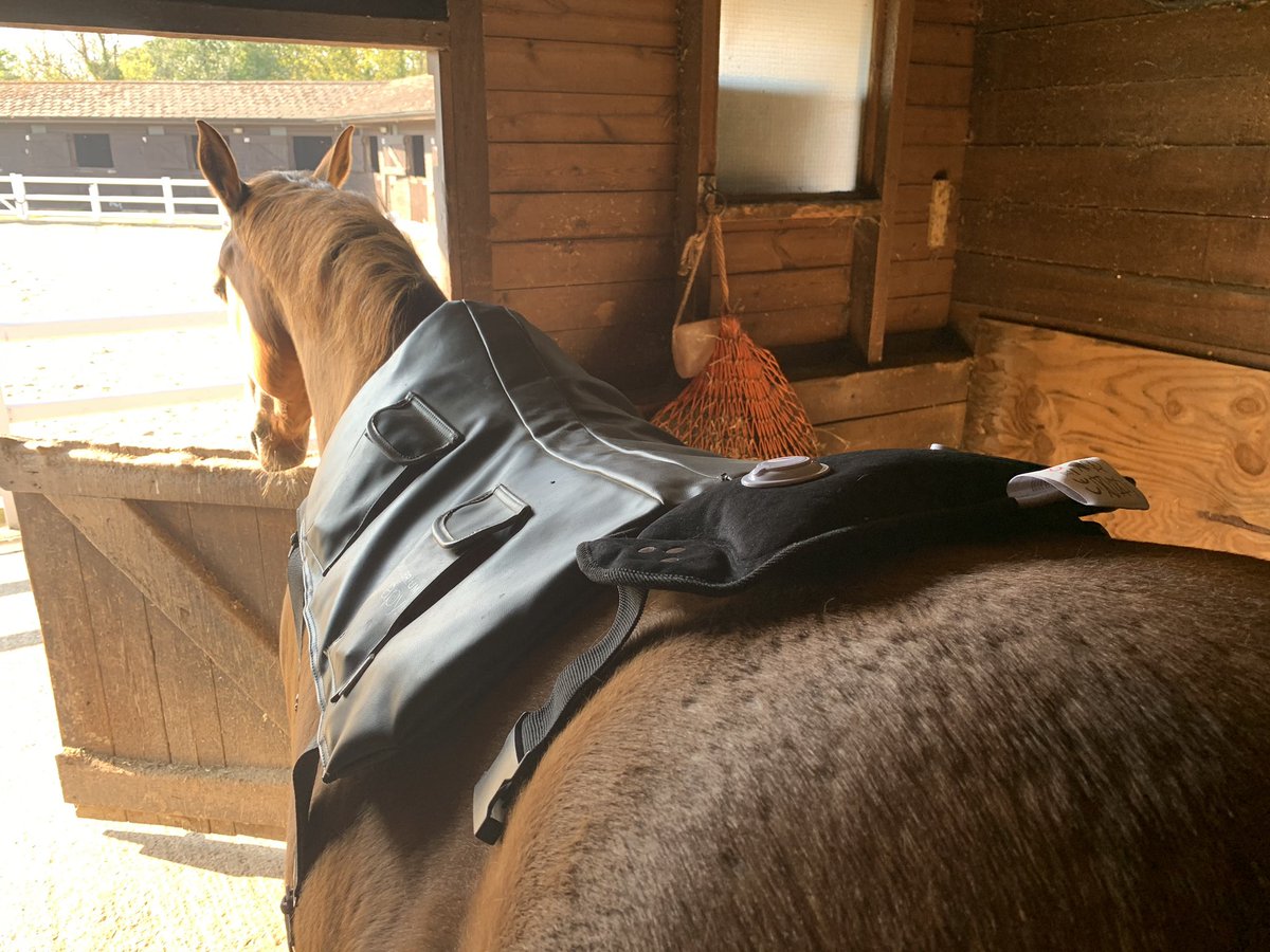 Claire Drey-Brown tweet media