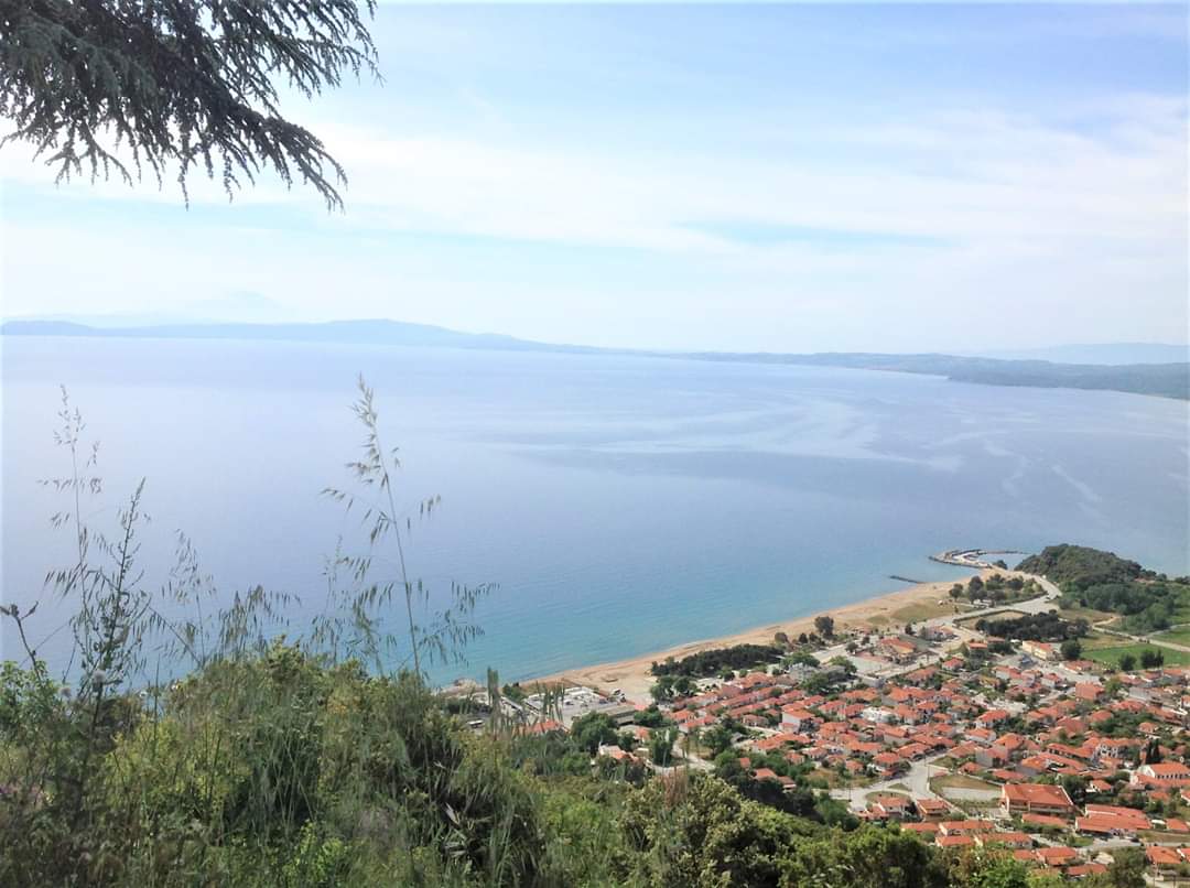 mountathosarea tweet media