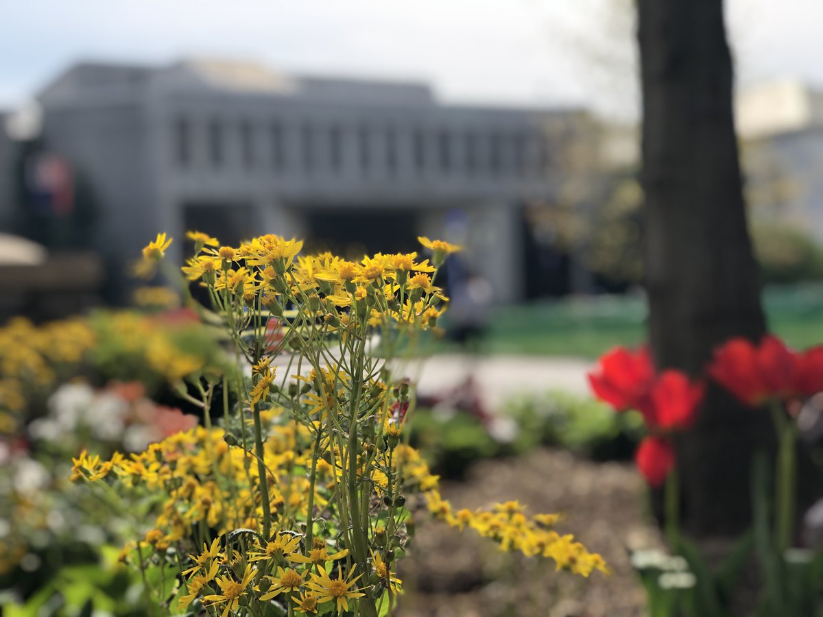 American U Alumni (@americanualum) on Twitter photo Happy #EarthDay! <a href="/AmericanU/">American University</a> is ranked #4 Most Beautiful Urban Campus by Best Choice Schools. #DidYouKnow Happy #EarthDay! <a href="/AmericanU/">American University</a> is ranked #4 Most Beautiful Urban Campus by Best Choice Schools. #DidYouKnow