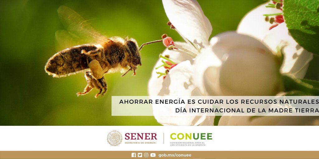 Hoy es el #DiaDeLaTierra y es el momento de decidirnos a cambiar nuestra forma cotidiana de consumir bienes y servicios. 

Te invitamos a impulsar con tus acciones una transición ecológica sustentable.
¡Evita el desperdicio de energía!

#AhorrarEnergíaEsBienestar