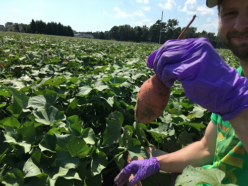 PhytobiomesJ's tweet photo. Despite the importance of sweet potato, little is known about the sweet potato microbiome. @agbiome researchers sought to better understand the sweet potato microbiomes by characterizing it within and between actual working farms. @chuck_pr 

https://t.co/z0vFgNmEVl https://t.co/m0OmJZ7rIJ