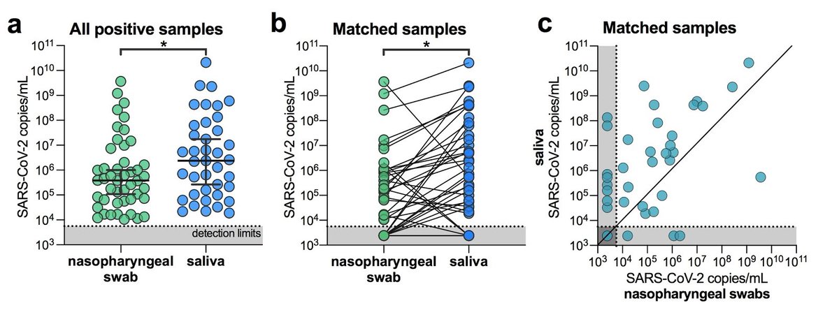 While saliva has shown promise for SARS-CoV-2 detection, very few studies have directly compared it to the current gold standard, nasopharyngeal (NP) swab. So, we compared NP and saliva samples from COVID-19 patients and self-collected samples from asymptomatic healthcare workers