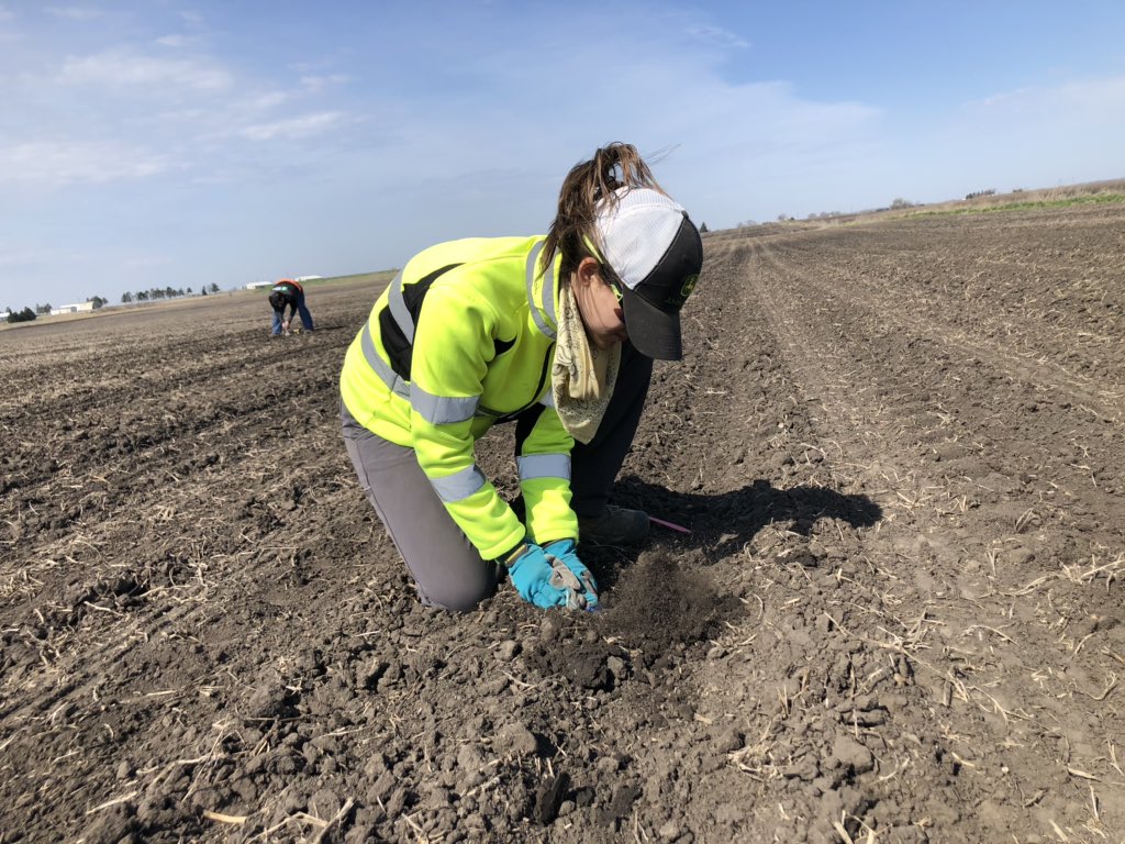 ISUDigitalAg's tweet photo. Assistant Scientist Katie Taylor checking #seeddepth in one of our test fields today. Target depth for corn should be beneath the soil moisture line, about 1.75” to 2.25”. #plant2020 https://t.co/UQiPr25Qck