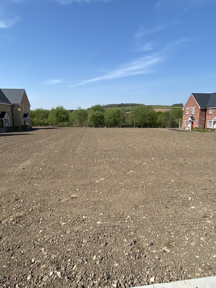 GNorthSO's tweet photo. Lovely sunny #Mosterton today. This open space is the driest I have seen it for a long time 😍
Going to look amazing when the planting is completed, when it is safe to do so. https://t.co/vTNl8glRwx