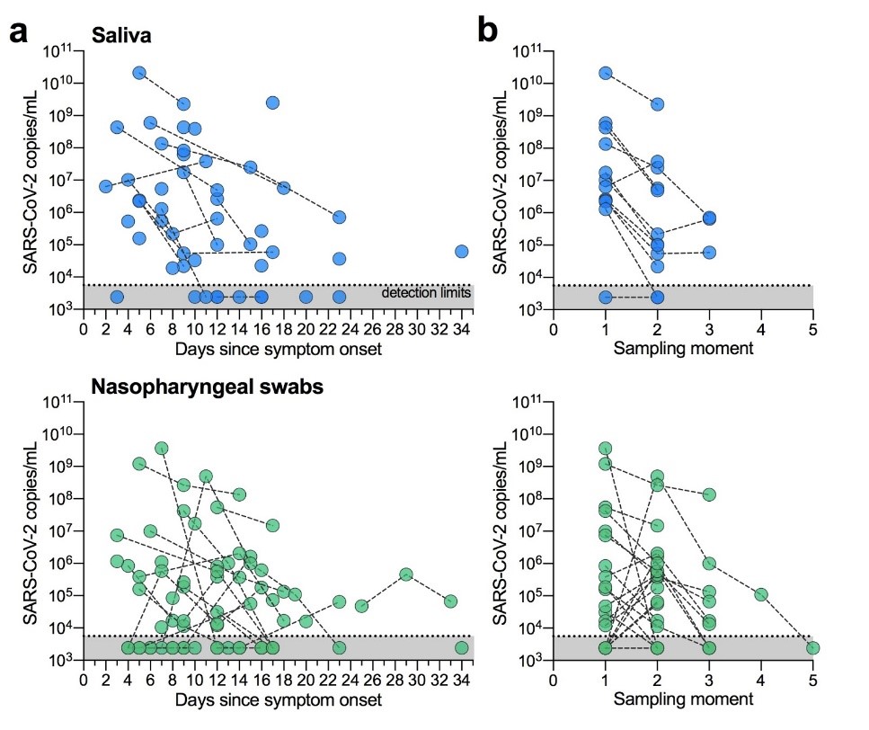 COVID-19 patients: SARS-CoV-2 detection from saliva is comparable to (or better than!) NP swabs and more consistent over time (a. since symptom onset; b. by sampling moment = variability between collections). Our results highlight the potential for false-negativity from NP swabs.