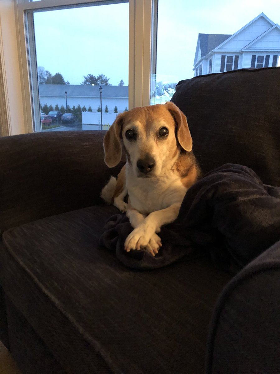 sandy memmo tweet media