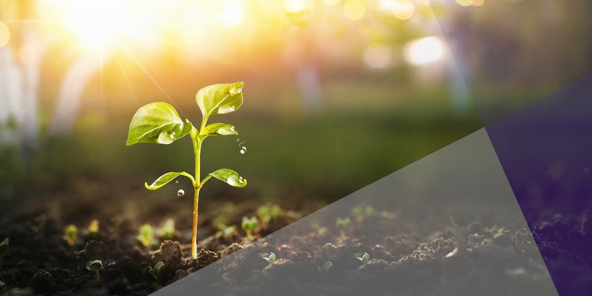 AtlasTravelTalk's tweet photo. Happy #EarthDay! In honor of today, we are sharing our 2019 Corporate Social Responsibility Report which highlights our efforts to impact our workplace, our local community, and the world: https://t.co/FIEaVOh8MN https://t.co/Qjac39VX6U