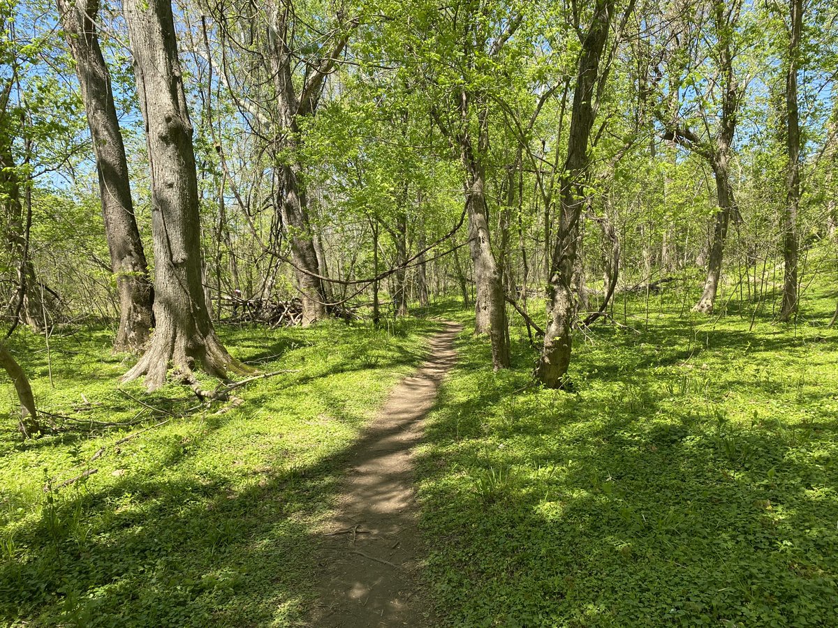 IngrahamAngle's tweet image. The best medicine...