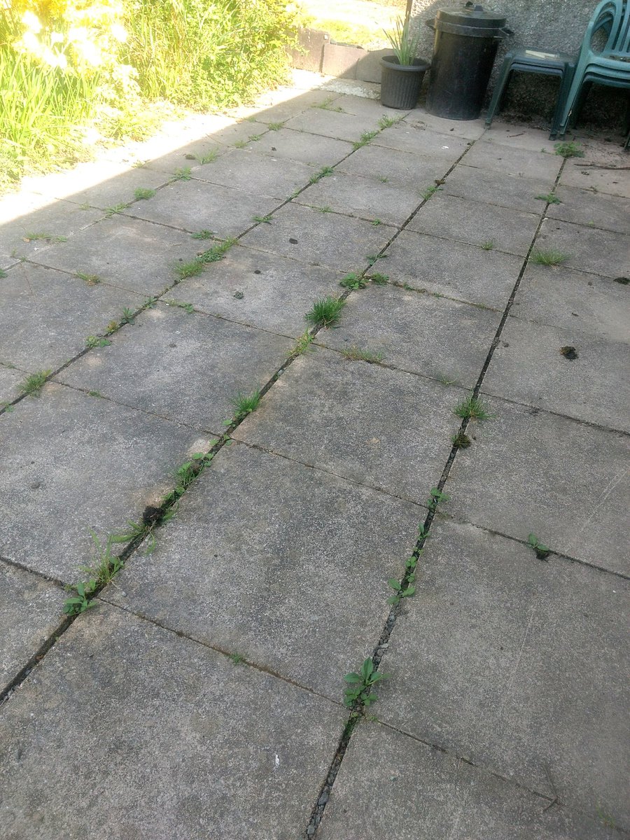 bycgolf's tweet photo. Some volunteer work at the golf club today weeding the patio area, only a small patch left now. Exercising with purpose #supportyourgolfclub. https://t.co/2tFOLzQLH3